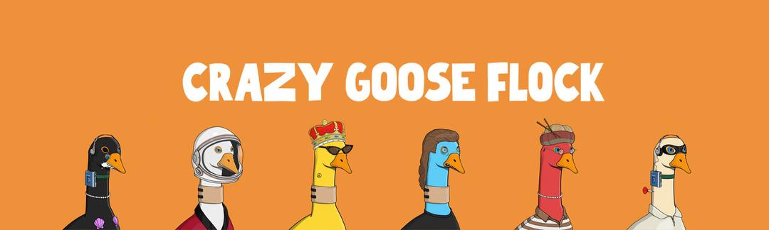 Crazy Goose Flock